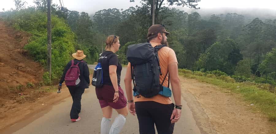 Hantana Mountain Range Pekoe Trail Full Day Hike from Kandy - Why This Tour Is Worth Considering
