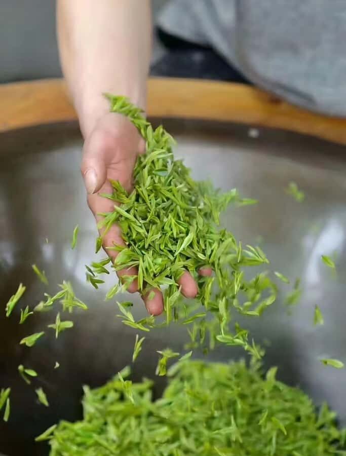 Hanzghou H-quality daytour: Xixi Wetland & Longjing Village - An In-Depth Look at the Day Tour Experience