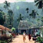 Haputale Day Tour by Tuk Tuk - Nature & Culture - Authentic Experiences & Reviewer Insights