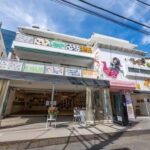 Harajuku: Art Gallery Tour with Okonomiyaki Cooking Lesson - The Okonomiyaki Cooking Class