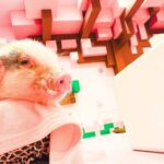 Harajuku : Blend of Tradition & Pop Culture for Family Tour - Why Choose This Tour?