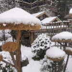 Harbin: 6-Day Harbin Ice Festival and Yabuli Club Med Tour - Is It Worth the Price?