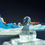 Harbin Ice and Snow Fairyland Private Day Tour - Comfort, Flexibility, and Practicalities