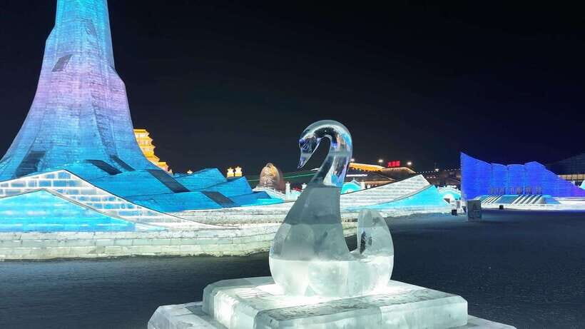 Harbin Ice and Snow Fairyland Private Day Tour - Comfort, Flexibility, and Practicalities