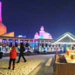 Harbin Ice and Snow World Ticket Booking - The Experience: What You Can Expect