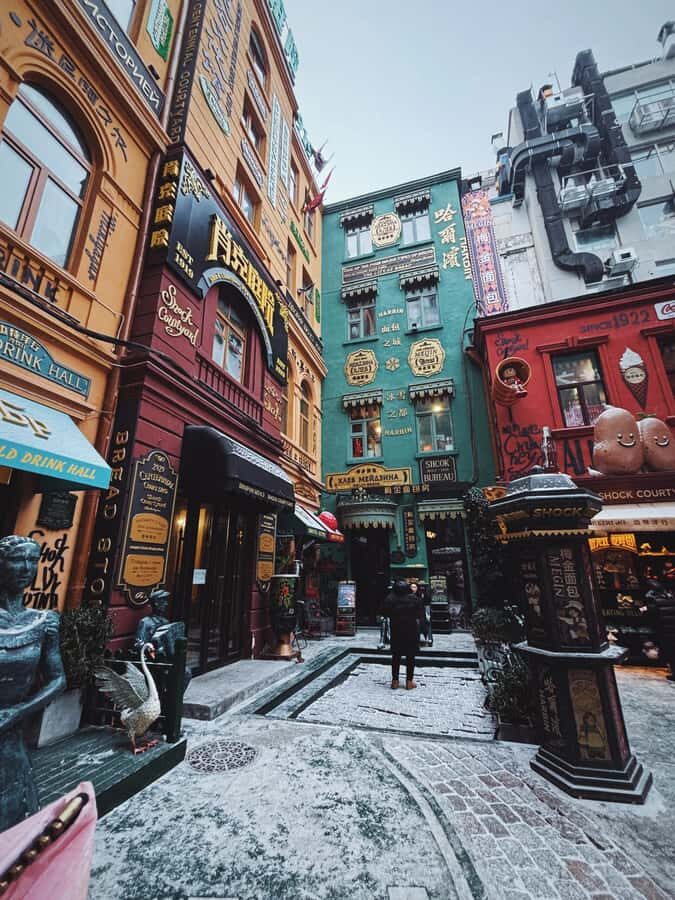 Harbin: Local Markets, Central Street, & Flexible Itinerary - Practical Details and What to Expect