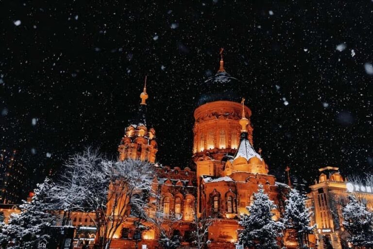 Harbin: One-Day Ice and Snow Disney Tour in China - Practical Details and Tips for the Tour