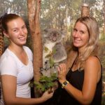 Hartley's Crocodile Adventures: Hartley's Koala Breakfast - The Sum Up