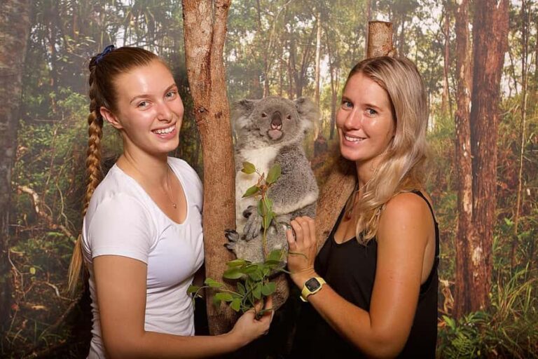 Hartley's Crocodile Adventures: Hartley's Koala Breakfast - The Sum Up