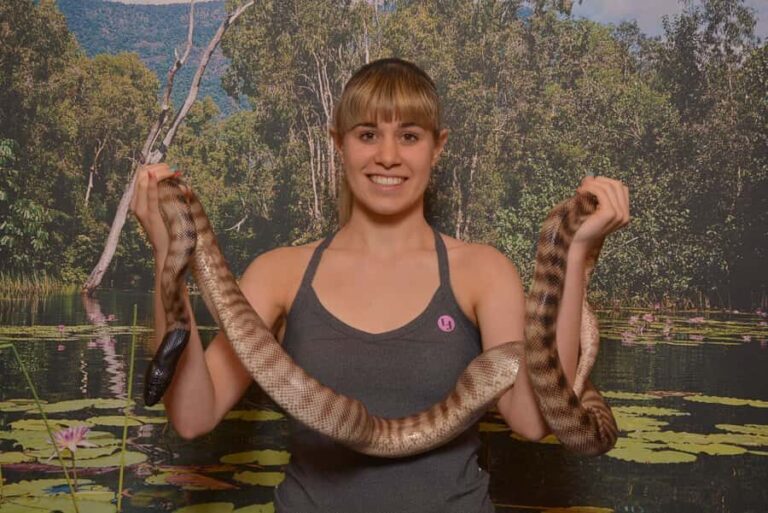 Hartley's Crocodile Adventures Park Entry - What Visitors Are Saying