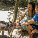 Hartley's Crocodile Adventures: Zootastic 5 + Entry Ticket - Feeding and Interacting with Other Animals