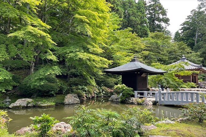Hattasan and Horaibashi Bridge Guided Tour-Van - Practicalities & Details