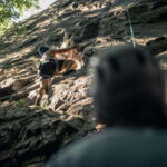 Hattiban Rock Climbing: Embrace the Adventure - Who Is It Best For?