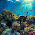 Have Fun in Blue Lagoon Snorkeling with Quad Bike Ride in Bali - Authentic Experiences and Surprising Details