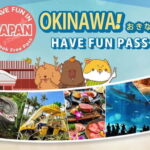 Have Fun in OKINAWA Pass (1 Week Free Pass) - What You Can Expect from the Itinerary