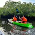 Havelock: Bioluminescence and Mangrove Kayaking Tour - The Sum Up