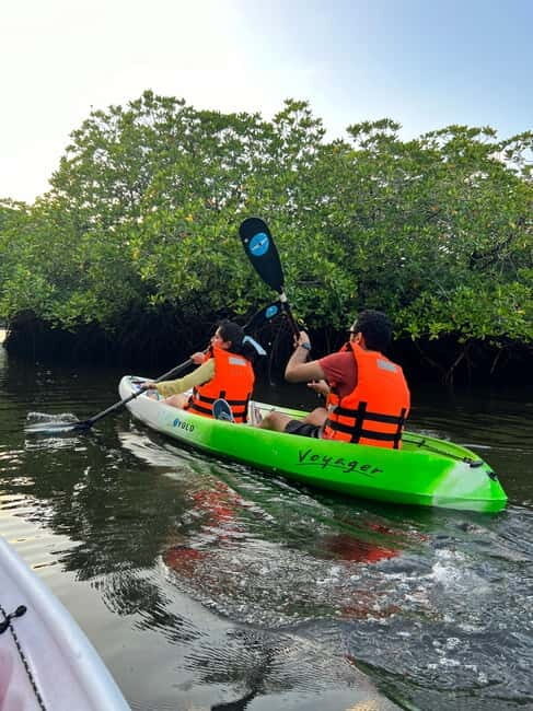 Havelock: Bioluminescence and Mangrove Kayaking Tour - Exploring the Havelock Kayaking Experience