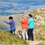 Hawkes Bay - Scenic, luncheon, wine Tour - Who Should Consider This Tour?