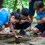 HCM: Explore Cu Chi Tunnels, Shooting, Tasting Steam Cassava - A Closer Look at the Cu Chi Tunnels Tour