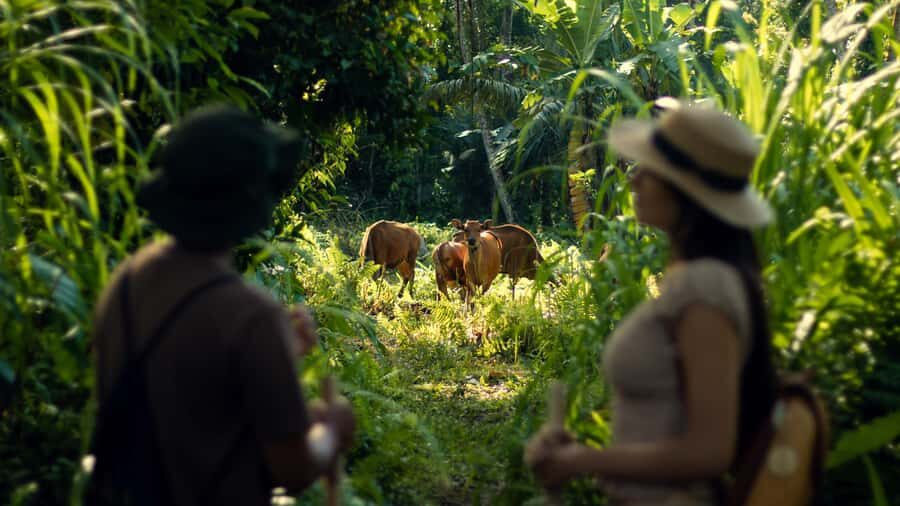 Heal & Reflect  Soul Journey from Ubud to Sacred Lake Batur - FAQ  