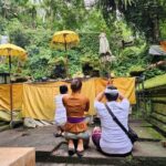 Healing and Adventure Trip in Ubud All Inclusive Journey - What Makes This Tour Stand Out?