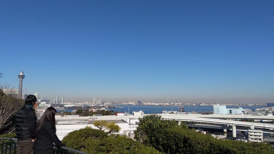 "Heart of Yokohama" Walking: Experience Hill Area - Authentic Experiences and Local Insights