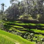 Heaven Gate, Tirtagangga and Tukad Cepung Waterfall - All Inclusive - Who Will Love This Tour?