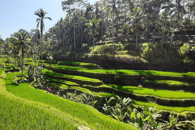 Heaven Gate, Tirtagangga and Tukad Cepung Waterfall - All Inclusive - Who Will Love This Tour?