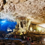 Hercules Cruise Full day Explore Halong Bay - Practical Details and Value