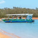Hervey Bay: Turtle Discovery Eco Tour - What Sets This Tour Apart?