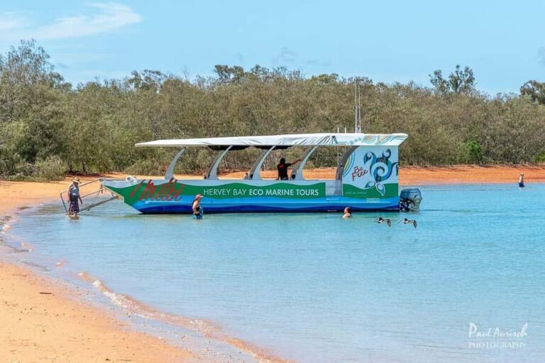 Hervey Bay: Turtle Discovery Eco Tour - What Sets This Tour Apart?