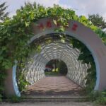 Heyri Walking Trip with Musical Instrument Making - The Museum of Musical Instruments of the World