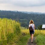 Hidden Bali Gems Sekumpul, Sacred Temples and Jatiluwih - What’s Included and What to Keep in Mind