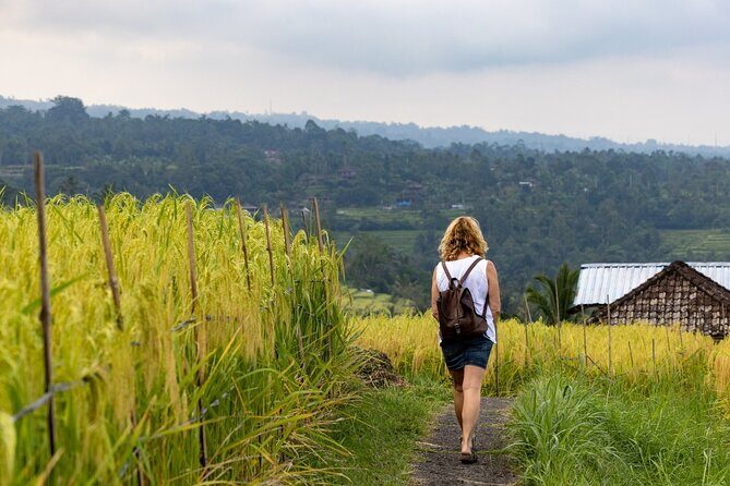 Hidden Bali Gems Sekumpul, Sacred Temples and Jatiluwih - What’s Included and What to Keep in Mind