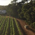 Hidden Gems: Boutique Full-Day Wine, Farm & Lunch Tour - Exploring the Itinerary in Detail