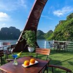 Hidden Paradise of Bai Tu Long Bay Day Cruise and Kayak Adventure - What Travelers Say