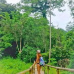 Hidden Valley Springs Alaminos with Lunch - The Natural Beauty of Hidden Valley Springs: Pools, Waterfalls, and Biodiversity