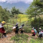 Hidden Villages Trekking to Hau Thao, Hang Da, and Sa Seng - The Practicalities: What to Expect