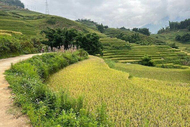 Hidden Villages Trekking to Hau Thao, Hang Da, and Sa Seng - Deep Dive into the Trekking Experience