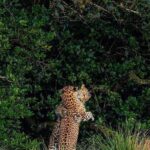 High recommended multi-day customizable Sri Lanka tours - FAQ