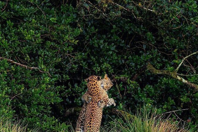 High recommended multi-day customizable Sri Lanka tours - FAQ