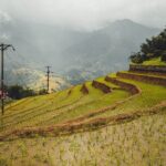 Highland Harmony Trek in Sapa - What Travelers Are Saying