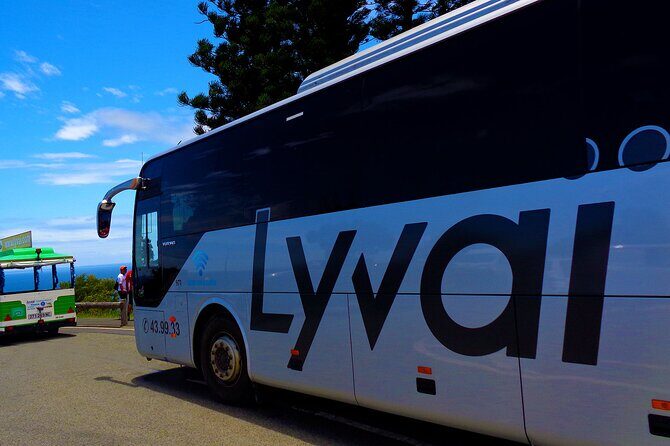 Highlight City Tour in New Caledonia - Practical Details and Group Experience