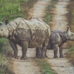 Highlights of Nepal - 10 Days 9 Nights Tour | Culture & adventure - Who Is This Tour Best For?