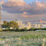 Highlights of South Korea Shared Guided Tour - Practical Details and What They Mean for You