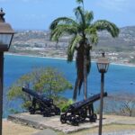 Highlights of Tobago Tour - Guide and Service Quality