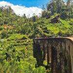 Highlights tour with tasting & Green environment in ella - An In-Depth Look at the Tour