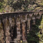 Highlights tour with tasting & Green environment in ella - Transportation and Comfort