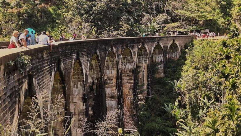 Highlights tour with tasting & Green environment in ella - Transportation and Comfort