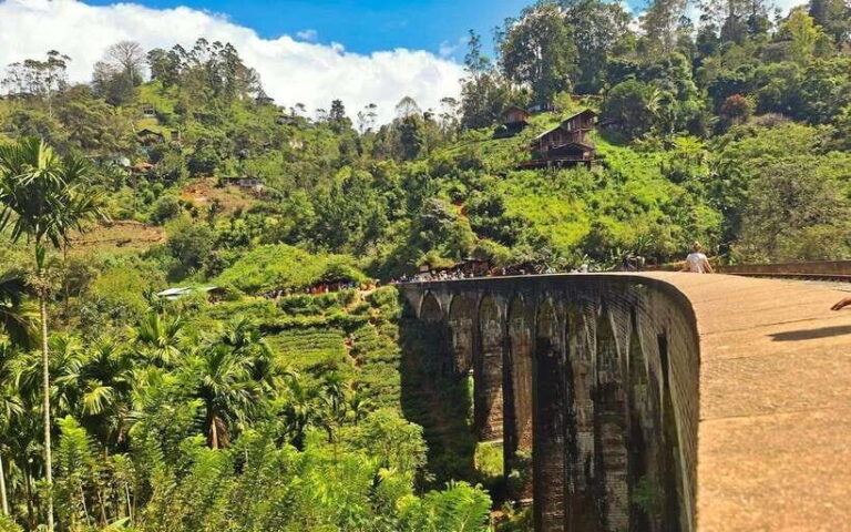 Highlights tour with tasting & Green environment in ella - An In-Depth Look at the Tour